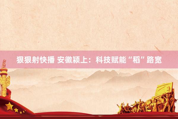 狠狠射快播 安徽颍上：科技赋能“稻”路宽