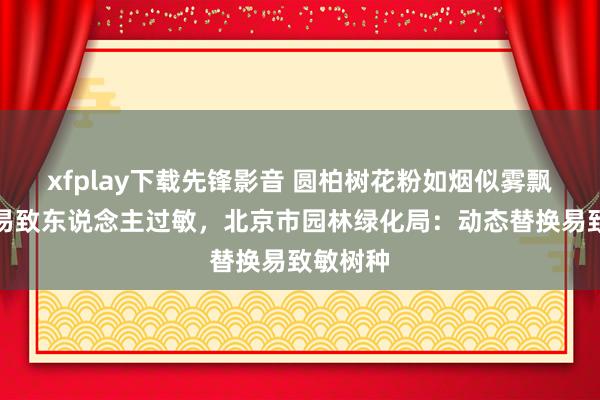 xfplay下载先锋影音 圆柏树花粉如烟似雾飘在空中易致东说念主过敏，北京市园林绿化局：动态替换易致敏树种