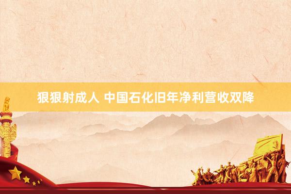 狠狠射成人 中国石化旧年净利营收双降