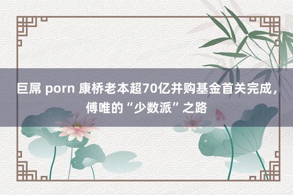 巨屌 porn 康桥老本超70亿并购基金首关完成，傅唯的“少数派”之路