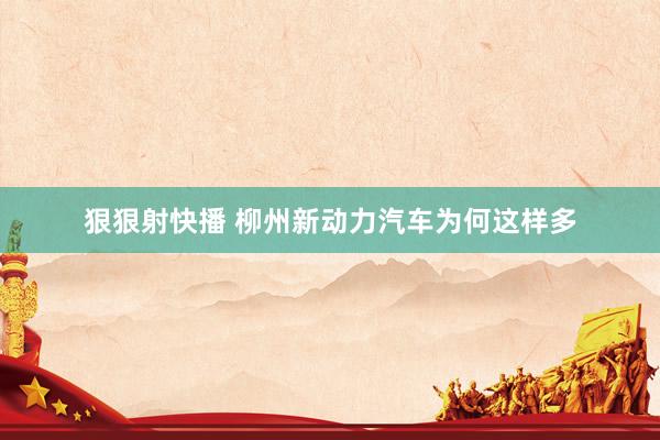 狠狠射快播 柳州新动力汽车为何这样多