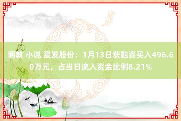 调教 小说 建发股份：1月13日获融资买入496.60万元，占当日流入资金比例8.21%