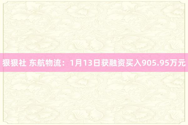 狠狠社 东航物流：1月13日获融资买入905.95万元