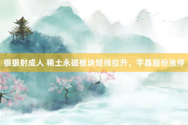 狠狠射成人 稀土永磁板块短线拉升，宇晶股份涨停