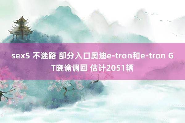 sex5 不迷路 部分入口奥迪e-tron和e-tron GT晓谕调回 估计2051辆