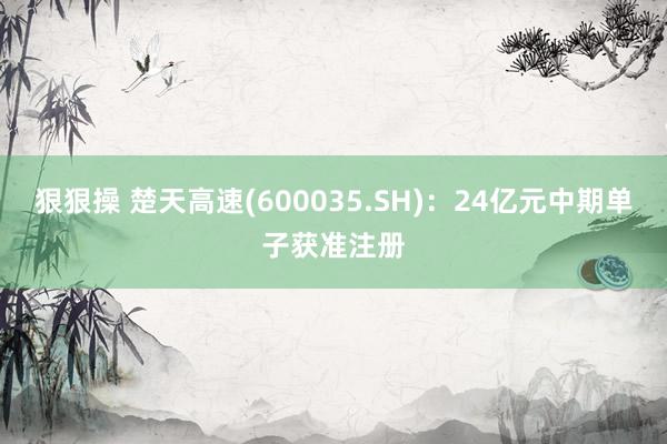 狠狠操 楚天高速(600035.SH)：24亿元中期单子获准注册