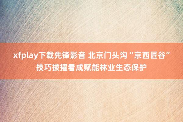 xfplay下载先锋影音 北京门头沟“京西匠谷”技巧拔擢看成赋能林业生态保护