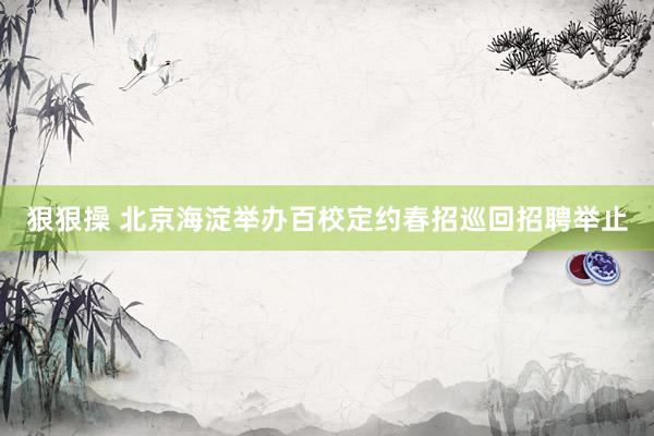狠狠操 北京海淀举办百校定约春招巡回招聘举止