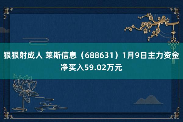 狠狠射成人 莱斯信息（688631）1月9日主力资金净买入59.02万元