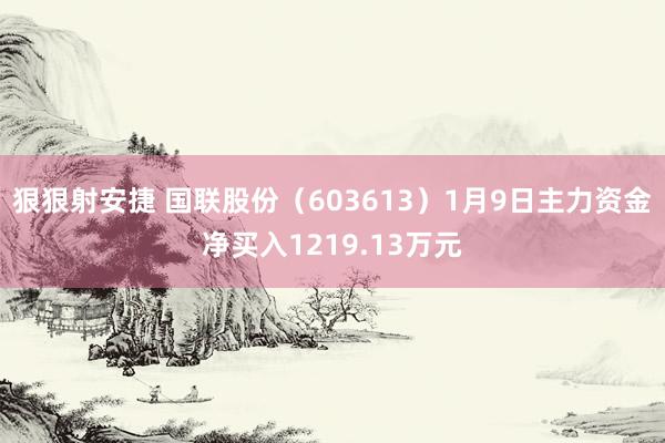 狠狠射安捷 国联股份（603613）1月9日主力资金净买入1219.13万元