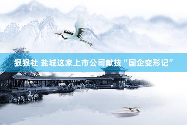 狠狠社 盐城这家上市公司献技“国企变形记”