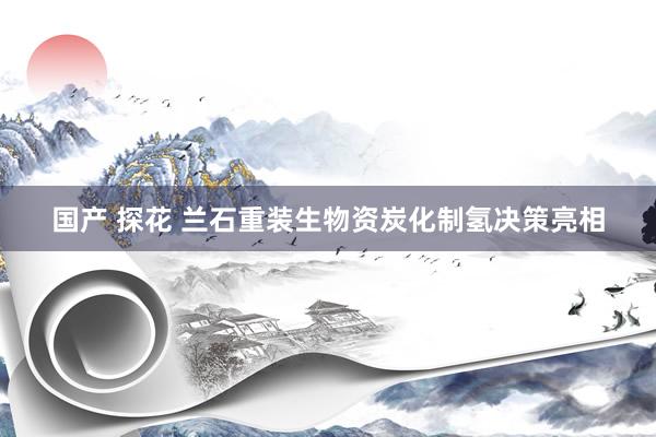 国产 探花 兰石重装生物资炭化制氢决策亮相