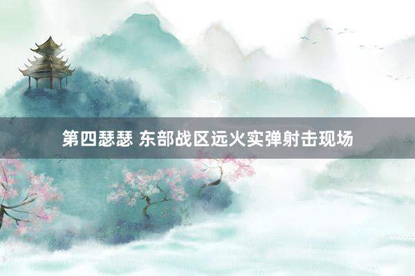 第四瑟瑟 东部战区远火实弹射击现场
