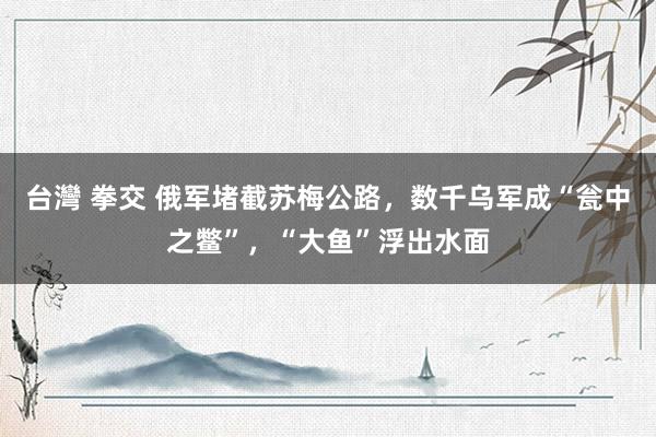 台灣 拳交 俄军堵截苏梅公路，数千乌军成“瓮中之鳖”，“大鱼”浮出水面