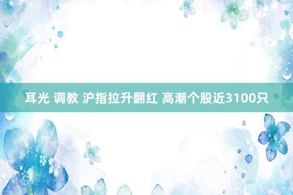 耳光 调教 沪指拉升翻红 高潮个股近3100只