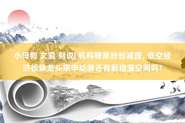 小母狗 文爱 财说| 机构鞭策纷纷减捏, 低空经济板块龙头宗申能源还有新增漫空间吗?