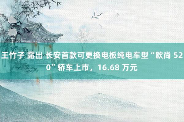 王竹子 露出 长安首款可更换电板纯电车型“欧尚 520”轿车上市，16.68 万元