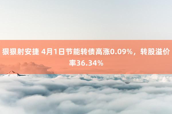 狠狠射安捷 4月1日节能转债高涨0.09%，转股溢价率36.34%