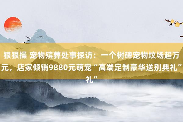狠狠操 宠物殡葬处事探访：一个树碑宠物坟场超万元，店家倾销9880元萌宠“高端定制豪华送别典礼”