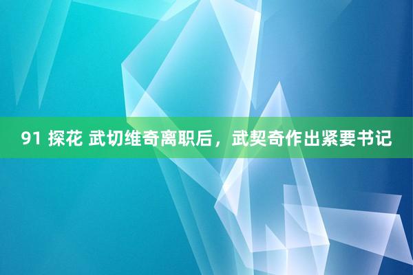 91 探花 武切维奇离职后，武契奇作出紧要书记