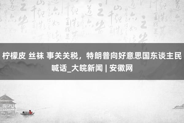 柠檬皮 丝袜 事关关税，特朗普向好意思国东谈主民喊话_大皖新闻 | 安徽网