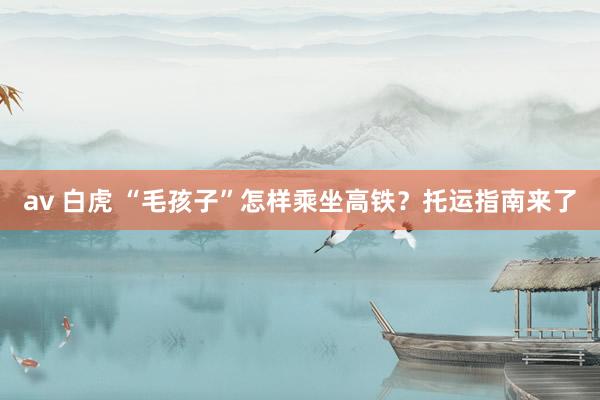 av 白虎 “毛孩子”怎样乘坐高铁？托运指南来了