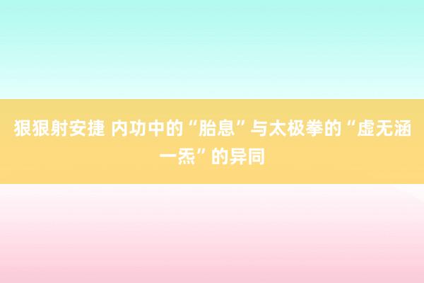 狠狠射安捷 内功中的“胎息”与太极拳的“虚无涵一炁”的异同