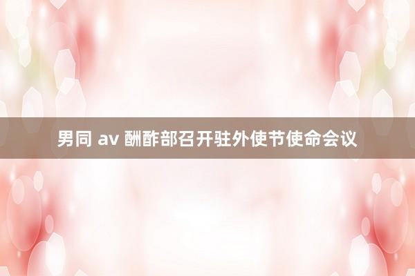 男同 av 酬酢部召开驻外使节使命会议