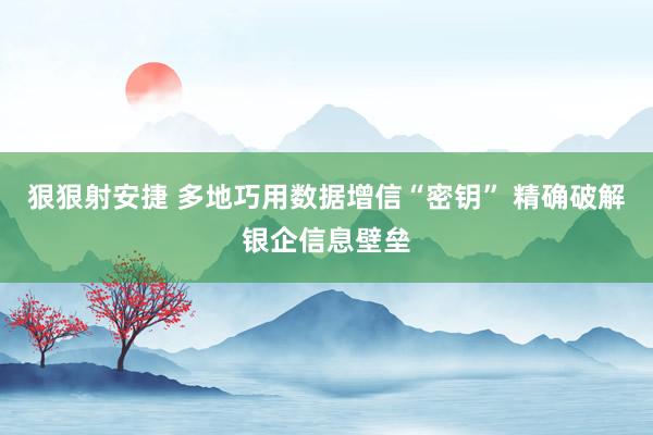 狠狠射安捷 多地巧用数据增信“密钥” 精确破解银企信息壁垒