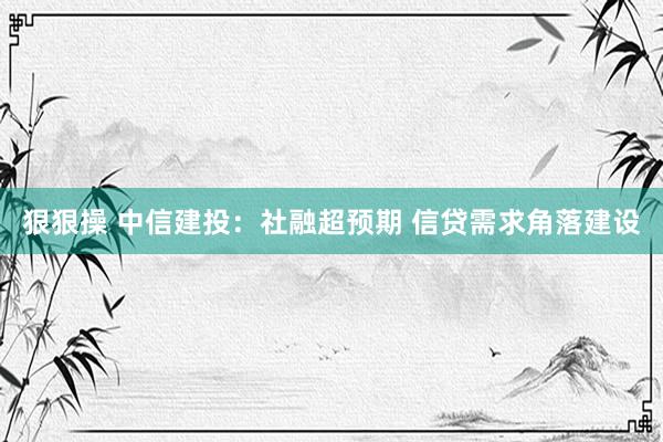 狠狠操 中信建投：社融超预期 信贷需求角落建设