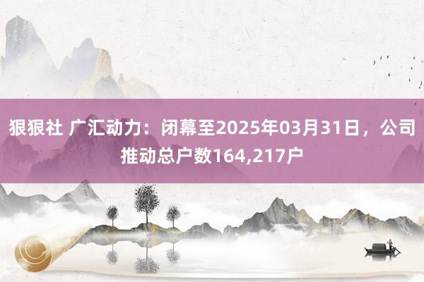 狠狠社 广汇动力：闭幕至2025年03月31日，公司推动总户数164,217户
