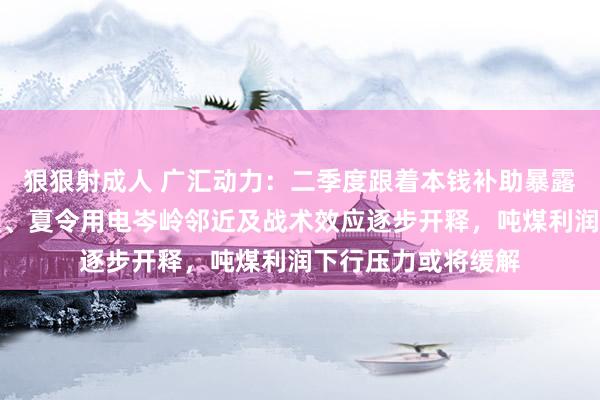 狠狠射成人 广汇动力：二季度跟着本钱补助暴露、入口量增速放缓、夏令用电岑岭邻近及战术效应逐步开释，吨煤利润下行压力或将缓解