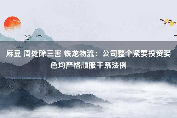 麻豆 周处除三害 铁龙物流：公司整个紧要投资姿色均严格顺服干系法例