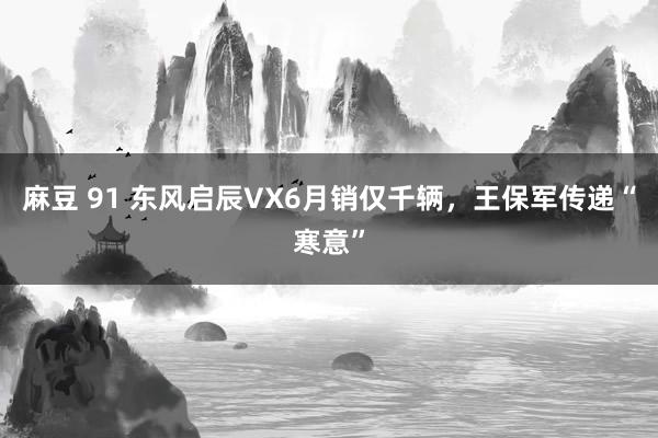 麻豆 91 东风启辰VX6月销仅千辆，王保军传递“寒意”