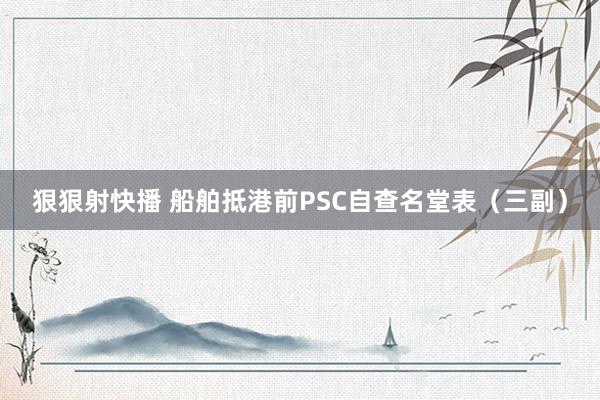 狠狠射快播 船舶抵港前PSC自查名堂表（三副）