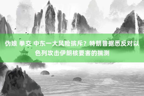 伪娘 拳交 中东一大风险摈斥？特朗普据悉反对以色列攻击伊朗核要害的揣测
