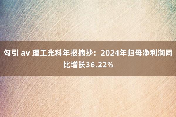 勾引 av 理工光科年报摘抄：2024年归母净利润同比增长36.22%