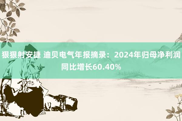 狠狠射安捷 迪贝电气年报摘录：2024年归母净利润同比增长60.40%