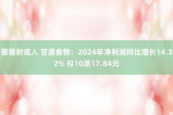 狠狠射成人 甘源食物：2024年净利润同比增长14.32% 拟10派17.84元