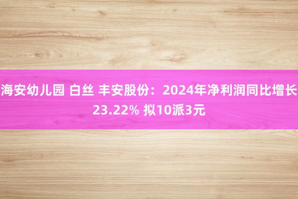 海安幼儿园 白丝 丰安股份：2024年净利润同比增长23.22% 拟10派3元