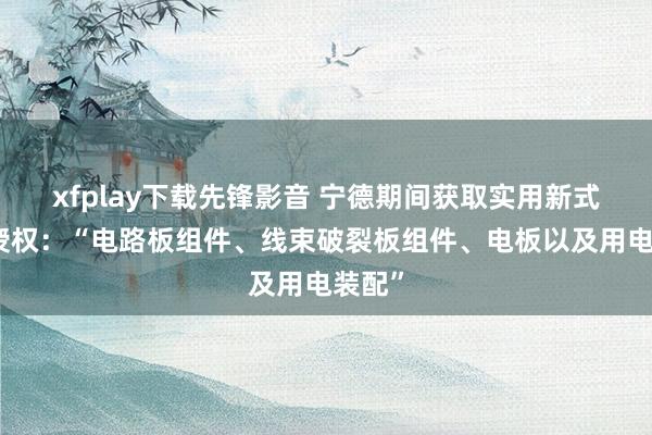 xfplay下载先锋影音 宁德期间获取实用新式专利授权：“电路板组件、线束破裂板组件、电板以及用电装配”