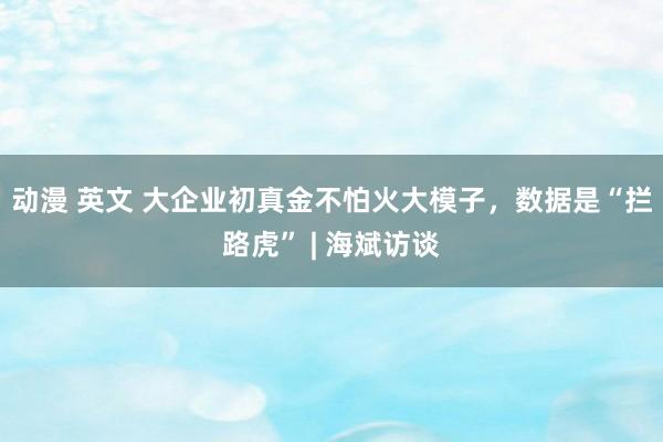 动漫 英文 大企业初真金不怕火大模子，数据是“拦路虎” | 海斌访谈