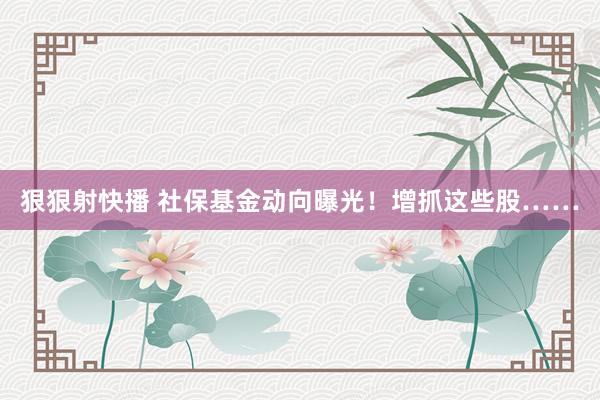 狠狠射快播 社保基金动向曝光！增抓这些股……