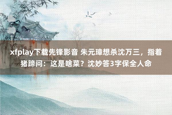 xfplay下载先锋影音 朱元璋想杀沈万三，指着猪蹄问：这是啥菜？沈妙答3字保全人命