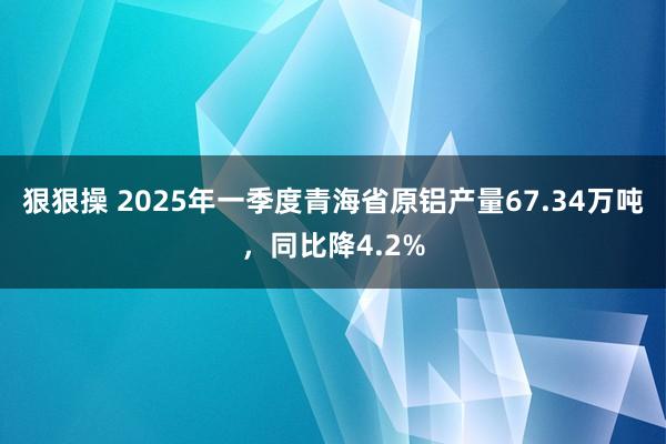 狠狠操 2025年一季度青海省原铝产量67.34万吨，同比降4.2%