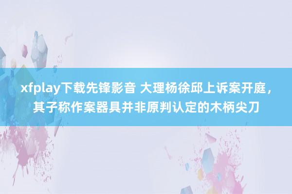 xfplay下载先锋影音 大理杨徐邱上诉案开庭，其子称作案器具并非原判认定的木柄尖刀