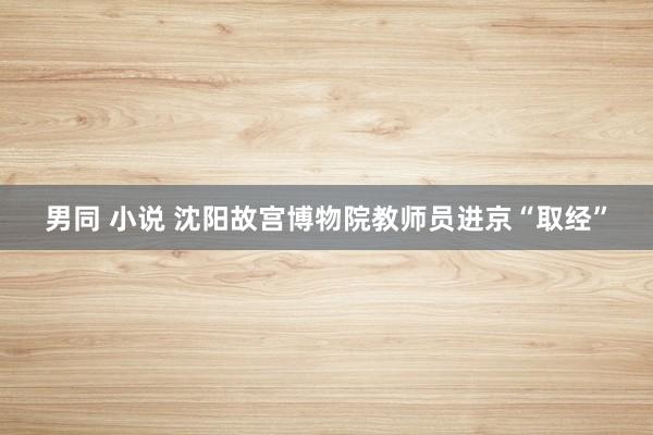 男同 小说 沈阳故宫博物院教师员进京“取经”