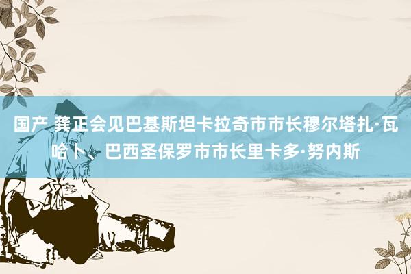 国产 龚正会见巴基斯坦卡拉奇市市长穆尔塔扎·瓦哈卜、巴西圣保罗市市长里卡多·努内斯