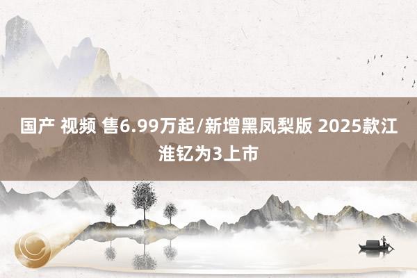 国产 视频 售6.99万起/新增黑凤梨版 2025款江淮钇为3上市